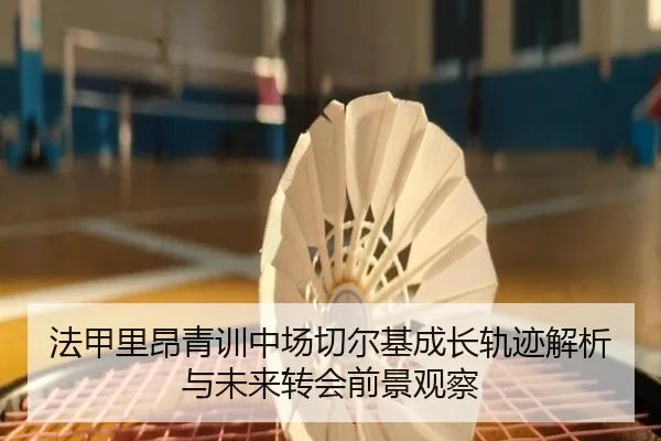 法甲里昂青训中场切尔基成长轨迹解析与未来转会前景观察
