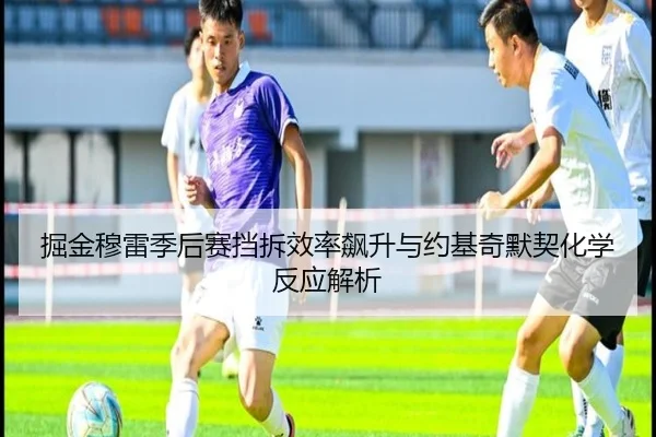 掘金穆雷季后赛挡拆效率飙升与约基奇默契化学反应解析