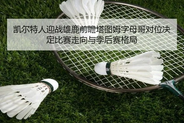 凯尔特人迎战雄鹿前瞻塔图姆字母哥对位决定比赛走向与季后赛格局